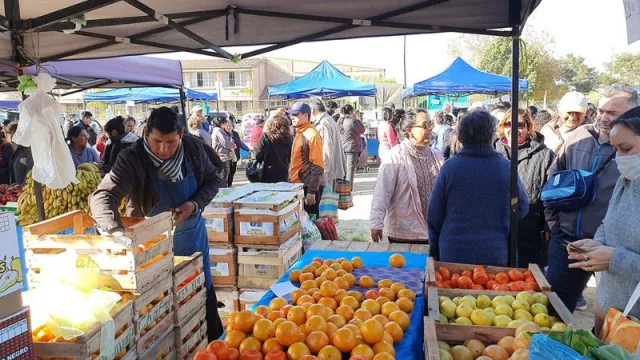Organizada por la Municipalidad, el viernes se hará en el Estadio Delmi la nueva "Expo Mercado”