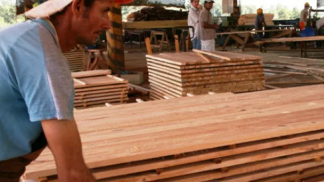 Industriales madereros (de todo el país) quieren impulsar, desde Orán, una producción con múltiples utilidades