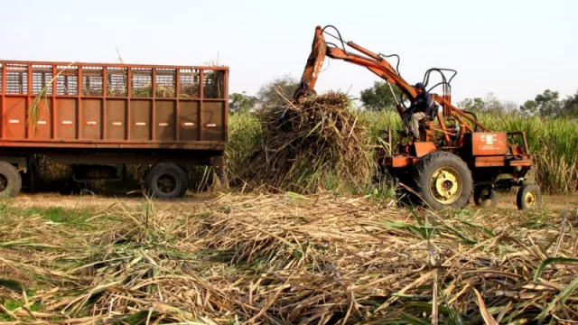 La zafra 2024 muestra un notable avance en Tucumán: los ingenios indicaron una producción positiva (y un aumento en la exportación de azúcar)