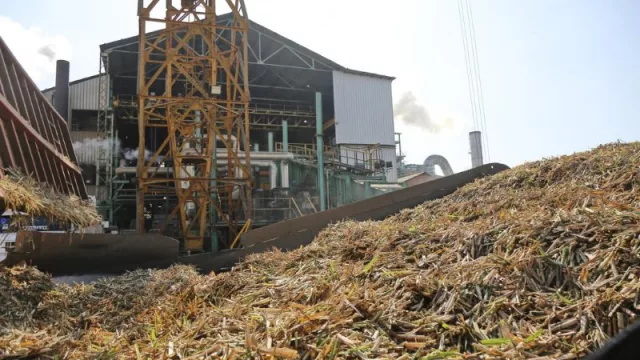 Avanza la zafra tucumana 2024 con récord en los trapiches (la molienda diaria supera lo registrado del año pasado)