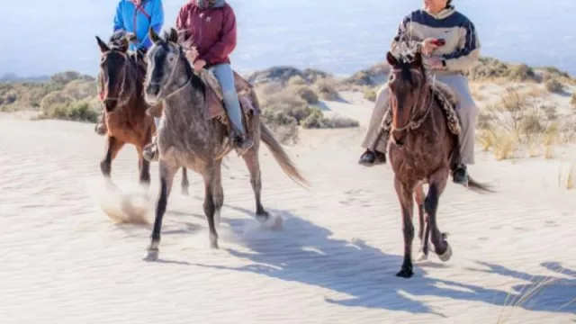 Se acaban las vacaciones de invierno y tenemos una agenda completa (para este fin de semana)