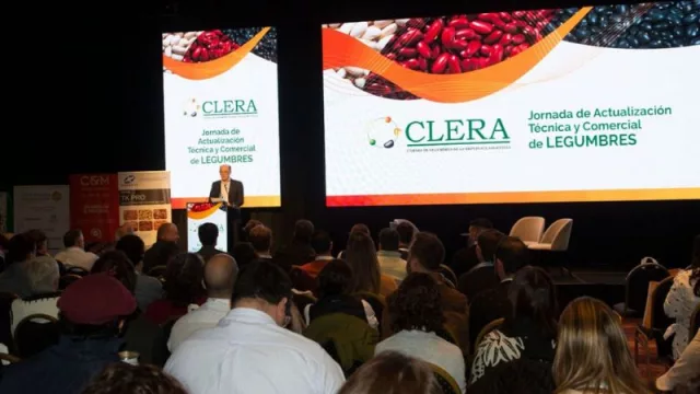 La producción nacional de legumbres fue la más baja desde 2013 (y hay preocupación por la pérdida de mercados)