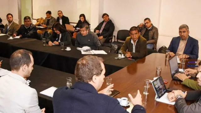 Senadores siguen con las consultas por la adhesión al RIGI (ayer fue el turno de los proveedores mineros)