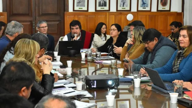 ¡Hoy es el día! El sector minero espera una respuesta de diputados (que darían media sanción a la adhesión de Salta al RIGI)