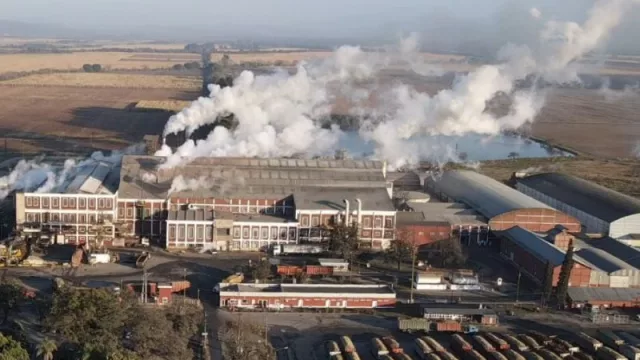 Grupo Arcor celebra 30 años del Ingenio La Providencia (que emplea a más de 400 colaboradores, y exporta su producción a diferentes partes del mundo)