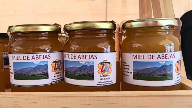 Un emprendimiento tan dulce como singular: La Nodriza miel de altura (mirá de qué se trata este proyecto)