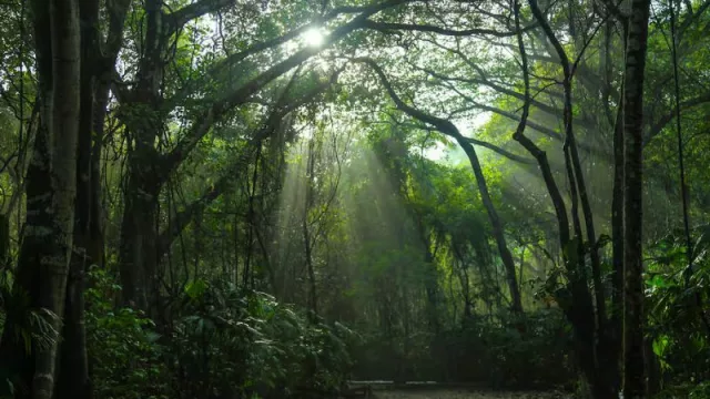 Con una atractiva agenda de disertantes, se realiza hoy el primer Foro Provincial de Carbono