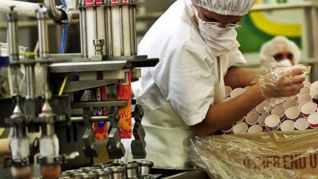 Se trabaja en el RIGI Pymes: para impulsar el desarrollo del sector (con beneficios a las inversiones)