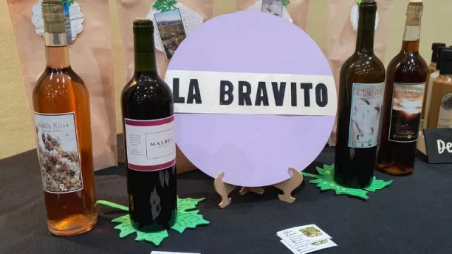 La Bravito, vinos de altura: un legado familiar que trascendió cinco generaciones