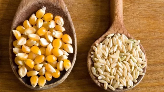 El costo de los alimentos a nivel mundial llega a su punto máximo en 18 meses