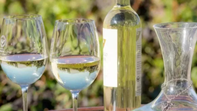 Cafayate recibió a los principales maestros mundiales de la industria del vino (¡y los conquistó con sus paisajes y sabores!)