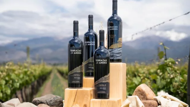 Uno que se viste de gala: llegó el Día del Vino Argentino (un brindis nacional este 24 de noviembre)