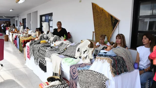 Anuncian la creación de la primera fábrica de oficios en Salta (con más de 80 máquinas de coser y herramientas)