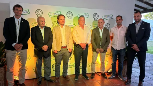 La mega inversión del campo salteño para la campaña 2024/25: son más de 1.200 millones de dólares para cultivos y ganadería