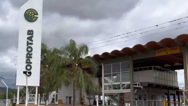 ¡Abierto sólo por tres días! La Cooperativa de Productores Tabacaleros abrirá el acopio de tabaco