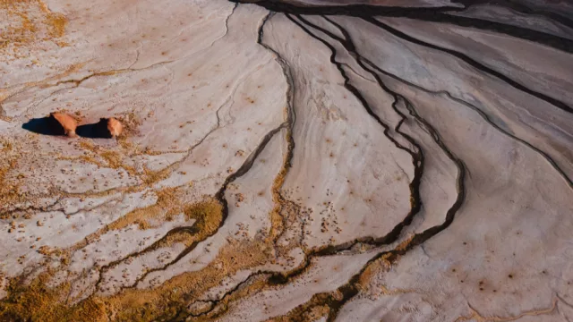 Pérez Alsina: “Salta es un lugar estratégico para atraer inversores. ¡Hay que estar listos y picar en punta!”