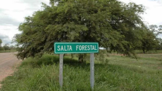 Salta Forestal trabaja en un plan integral de regularización dominial y ordenamiento productivo