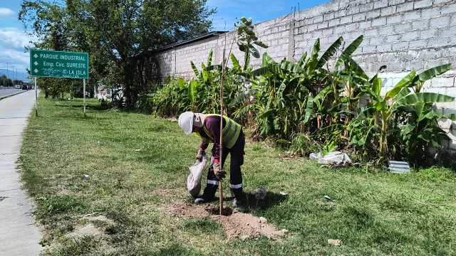 Dos tradicionales entidades salteñas se reunieron para apoyar la campaña de reforestación de la ciudad