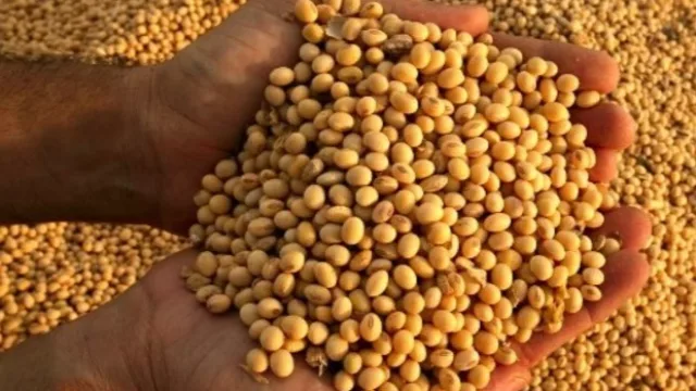 El campo salteño celebró la baja de retenciones, pero espera más: “Es un avance, es una señal de buena voluntad del Gobierno”