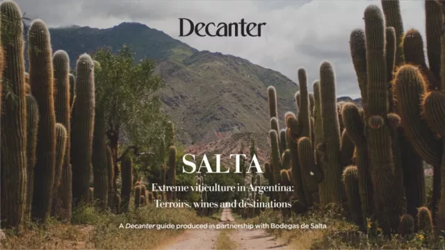 La revista especializada Decanter destacó en su última edición los vinos de altura de Salta