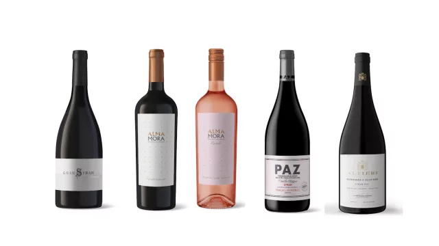 Syrah: el varietal que elige San Juan para su producción