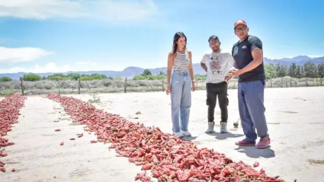 Convocan a emprendedores turísticos para brindarles mayor visibilidad y promoción