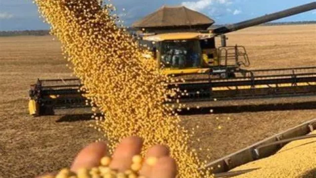 Se encienden luces rojas para la soja en Salta: anticipan que podría ser la campaña menos rentable en años