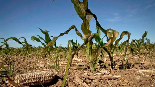De la sequía extrema a la inundación: la producción salteña en problemas por eventos climáticos extraordinarios