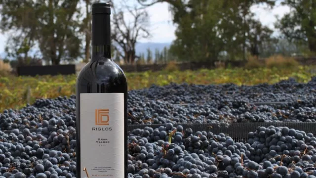 El Malbec según Gualtallary: una expresión única de la cepa nacional
