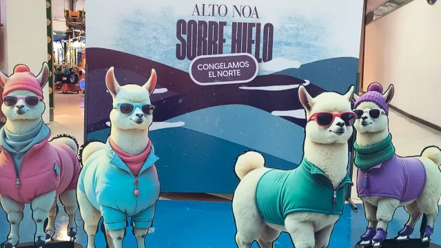 ¡A patinar se ha dicho! (Diverland trajo su pista de hielo al Alto NOA y va a estar hasta el 1/6)