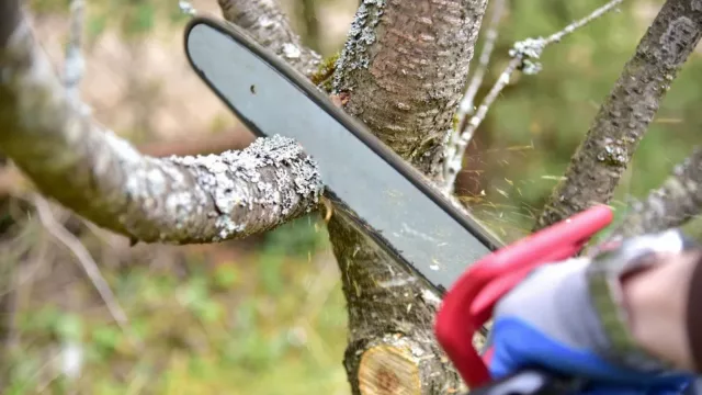 La distribuidora Edesa concientiza sobre la poda responsable para prevenir riesgos eléctricos
