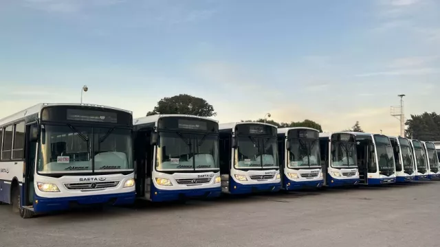 La empresa de transporte Alto Molino SRL sumó nueve coches a su flota de colectivos