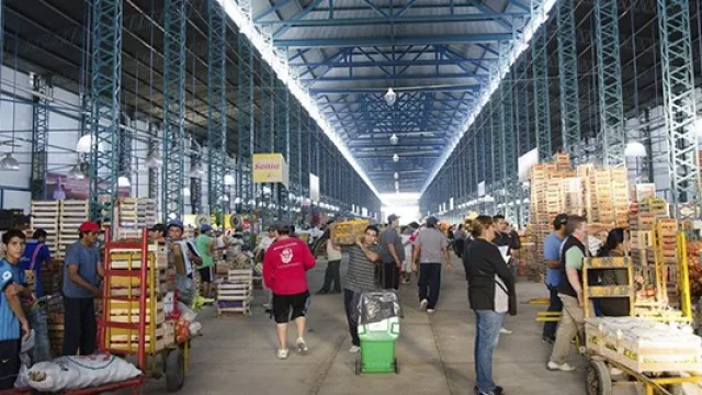 Frutas y verduras a precios bajos, pero sin consumo: la recesión golpea fuerte al sector frutihortícola de Santiago