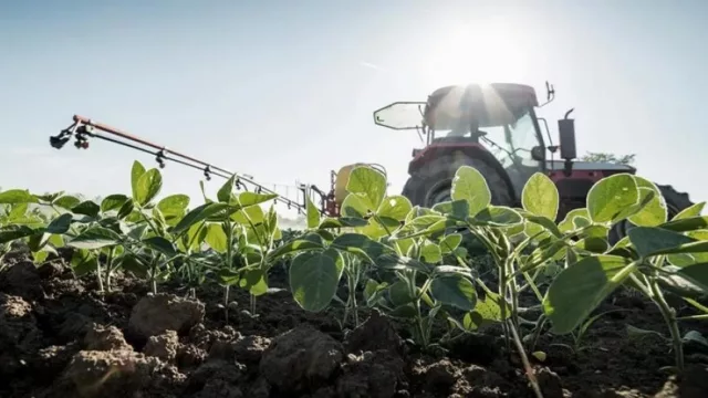 El campo salteño enfrenta un duro escenario: “Las perspectivas son malísimas”, aseguran