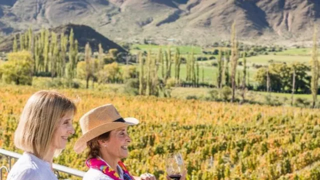 Altos costos e impuestos (y encima caída del consumo): ¿podrá sobrevivir el vino salteño?