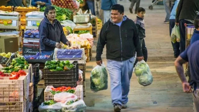 Advierten que las heladas podrían afectar el precio del tomate y las verduras de hojas