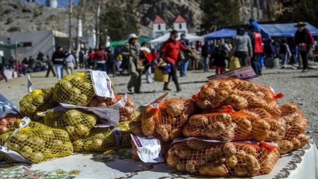 La localidad de Alfarcito recibirá este fin de semana la XIII edición de la Fiesta de la Papa Andina