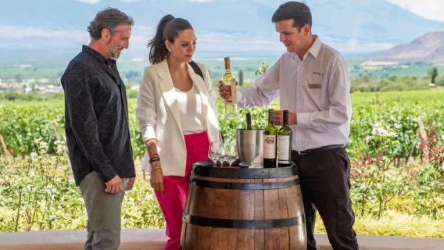 Vinos de altura rumbo a Paraguay: Salta prepara una nueva misión comercial