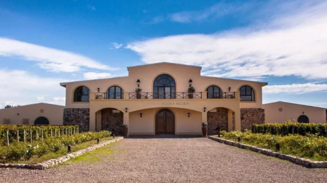 Vinos mendocinos con base en Brasil: Cuvelier envía 8.200 botellas al hub de Santa Catarina