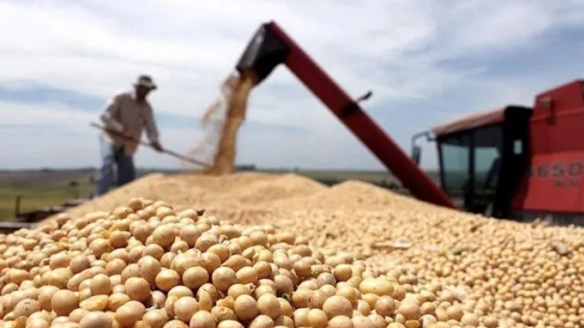 ¿Cómo impactó la baja de las retenciones en la rentabilidad del productor salteño? Enterate en esta nota