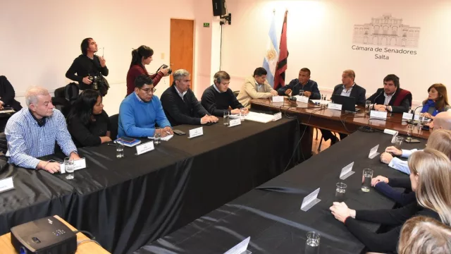 De la mano de la UNSa y REMSA, busca llevar capacitación técnica en minería a la Puna salteña