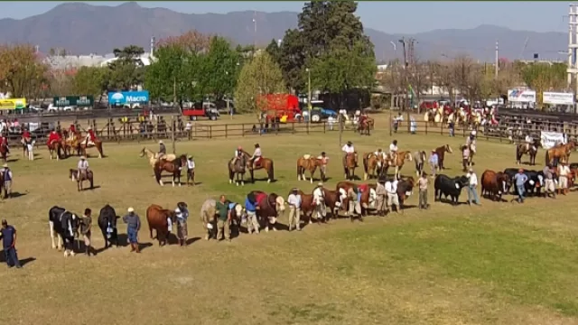 Este jueves arranca la edición número 81 de la Expo Rural Salteña (con entrada gratuita)