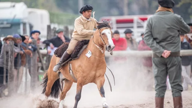 ¡A todo campo! Desde hoy y hasta el domingo Salta vive la edición 81 de la Expo Rural Salteña