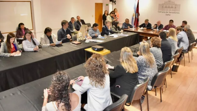 El Senado impulsa la formación de salteños para responder a la demanda del sector minero