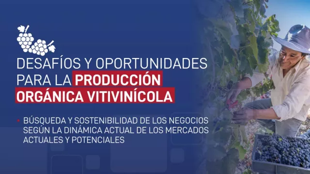 Invitan a productores vitivinícolas a capacitarse en prácticas orgánicas en Salta