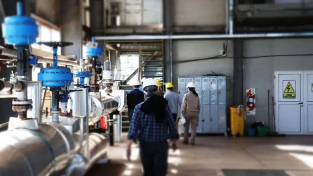 Silvateam consolida en Chaco un modelo industrial sostenible con presencia en más de 80 mercados