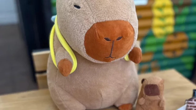 Llegó Carpiland a Salta: un café temático donde los carpinchos son los reyes