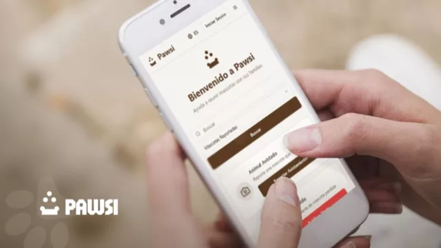 ¿Amás a los animalitos? Tenés que descargar Pawsi: una app salteña que reúne a mascotas perdidas con sus dueños