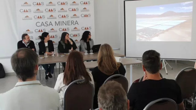 Salta, sede internacional del Workshop sobre estudios de salares de litio