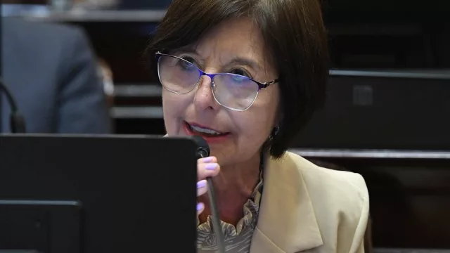 La senadora Nora Giménez propone un plan integral para reactivar las economías regionales